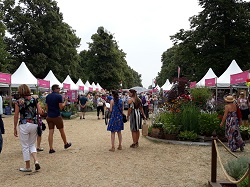 RHS Hampton Court Palace Flower Show 2018