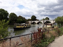 River Thames Boat Cruise