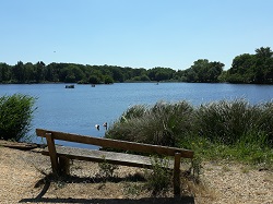 Richmond Park: Pen Ponds