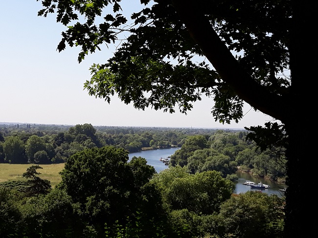 View atop of Richmond Hill