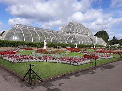 Royal Botanic Gardens, Kew: Palm House