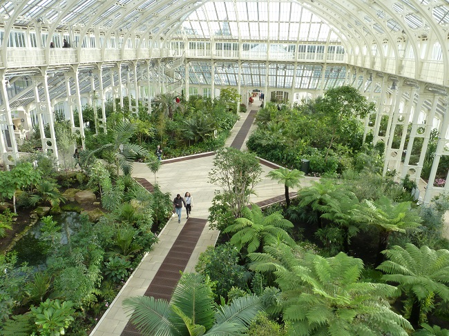 Temperate House Inside View